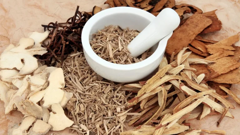 5 Herbal yang Membantu Meredakan Masalah Pencernaan