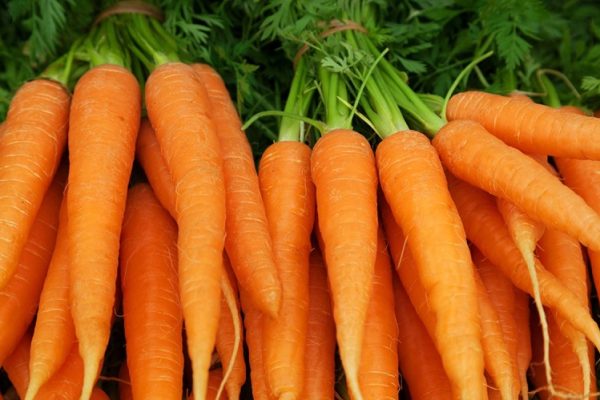 7 Jenis Sayuran Terbaik untuk Diet Harian 7 Jenis Sayuran Terbaik untuk Diet Harian