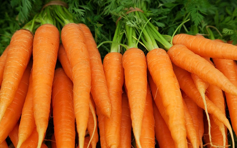 7 Jenis Sayuran Terbaik untuk Diet Harian